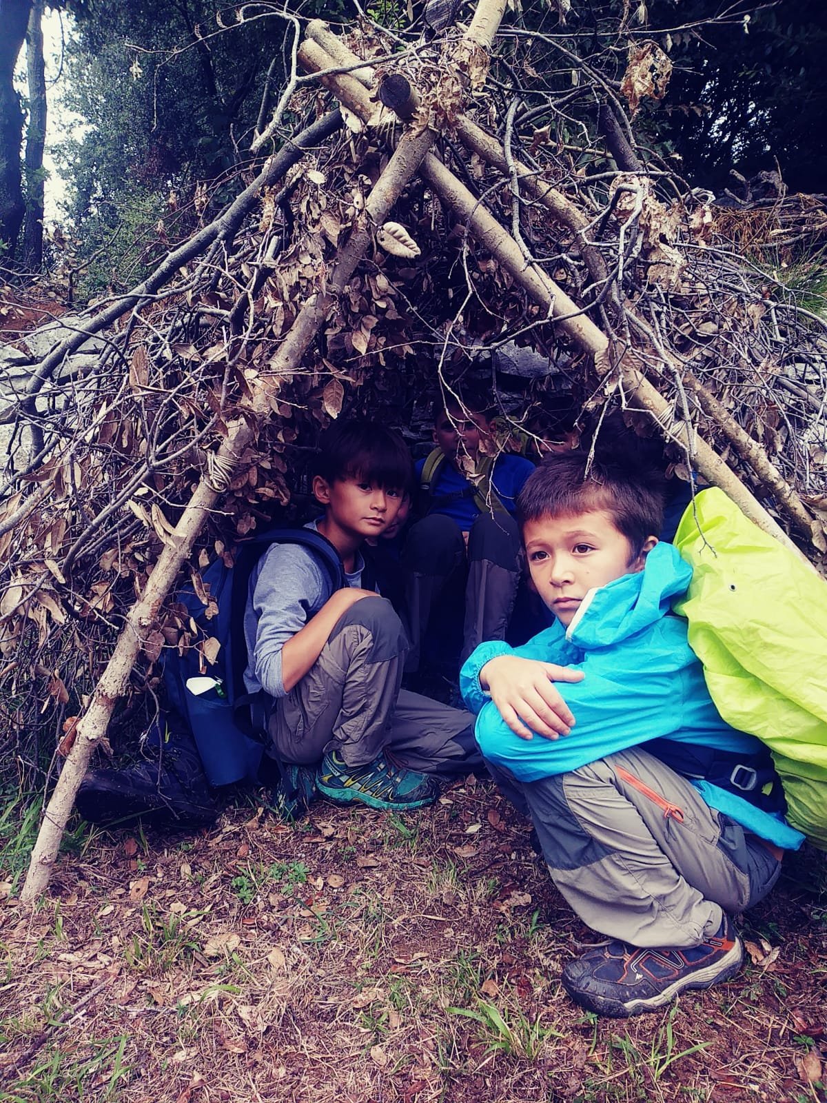 Ci passiamo la notte?