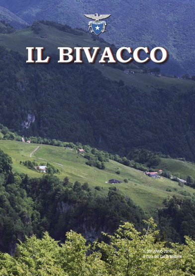 Copertina di Numero 35 (2016)