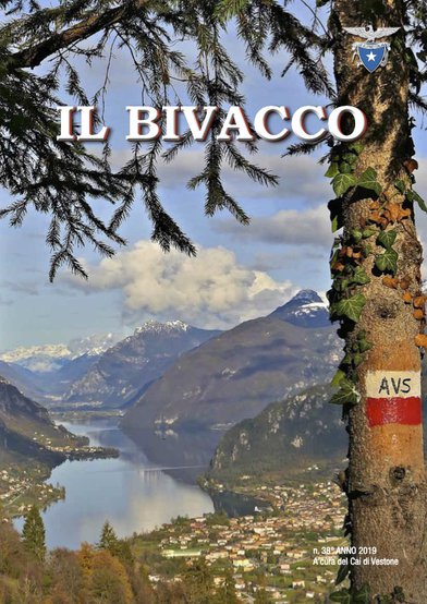 Copertina di Numero 38 (2019)