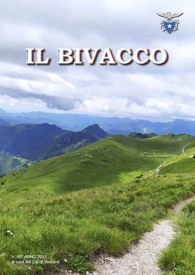 Copertina di Numero 40 (2021)