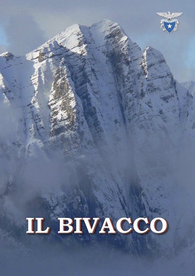 Copertina di Numero 36 (2017)