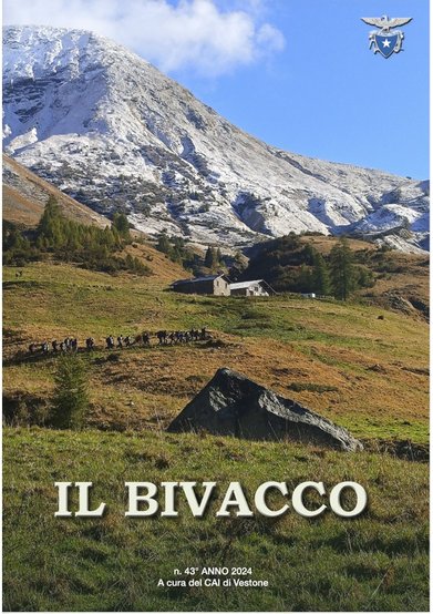 Copertina di 43 (2024)