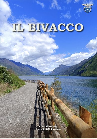 Copertina di Numero 44 (2025)
