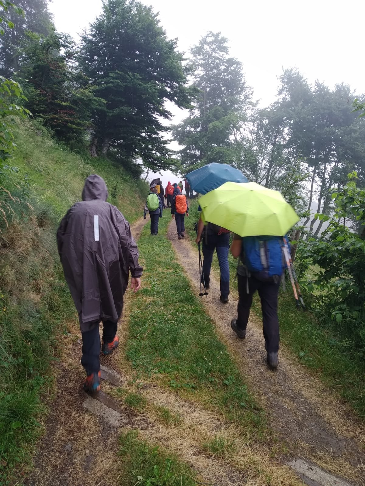 Anche oggi piove...