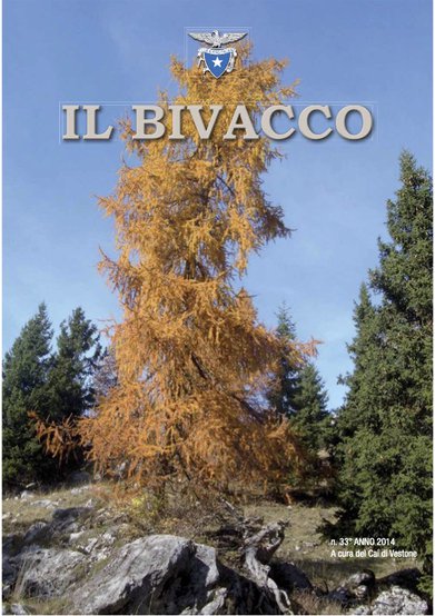 Copertina di Numero 33 (2014)